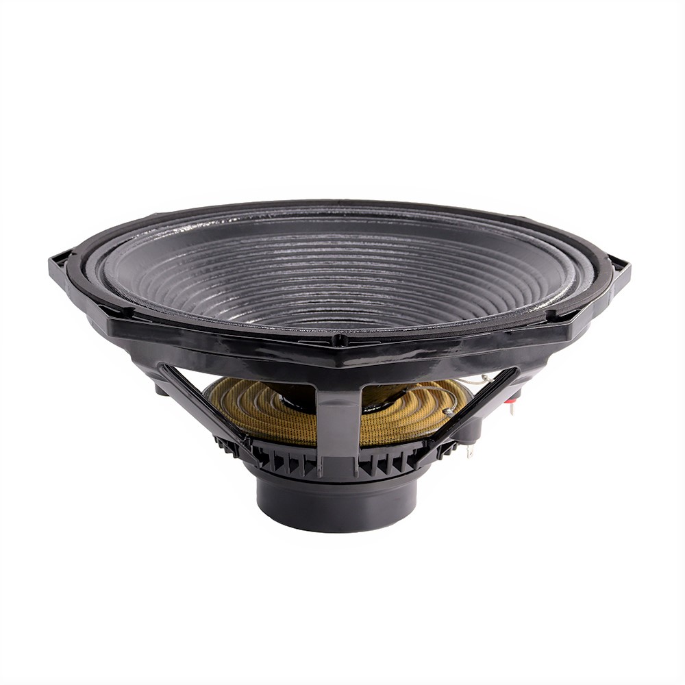 Professionele audio 600W 15 in - Speakers recensie en prijs